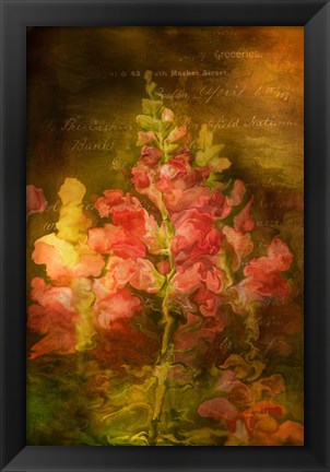 Framed Snapdragon Twilight I Print