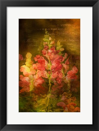 Framed Snapdragon Twilight I Print