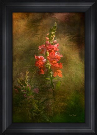 Framed Snapdragon Twilight II Print