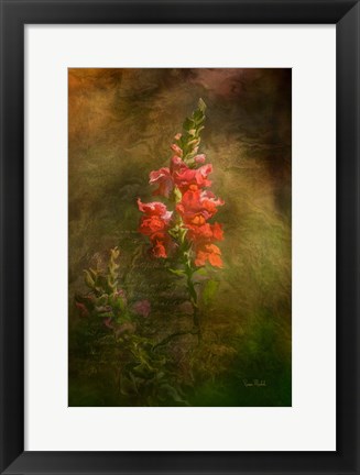 Framed Snapdragon Twilight II Print