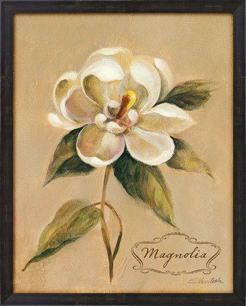 Framed December Magnolia Vintage Print