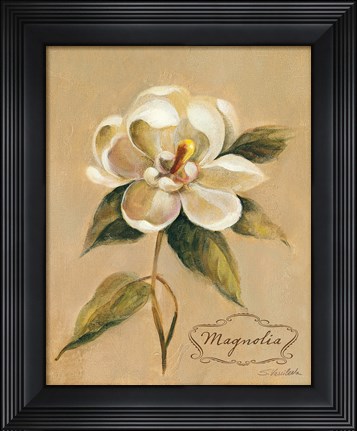 Framed December Magnolia Vintage Print
