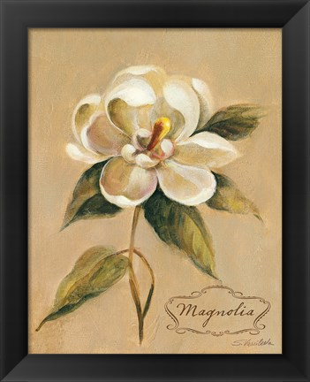 Framed December Magnolia Vintage Print