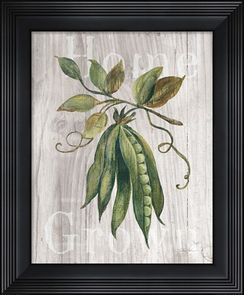 Framed Market Vegetables II on Wood Print