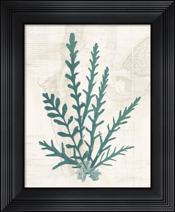 Framed Pacific Sea Mosses III Borderless Print