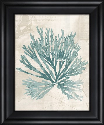 Framed Pacific Sea Mosses II borderless Print