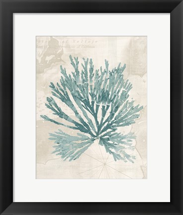 Framed Pacific Sea Mosses II borderless Print