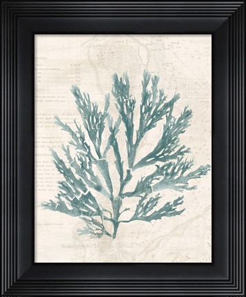 Framed Pacific Sea Mosses I Borderless Print