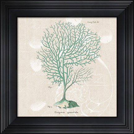 Framed Gorgonia Granulata on Linen Sea Foam Sq Print