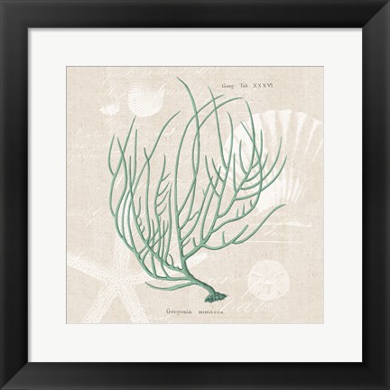 Framed Gorgonia Miniacea on Linen Sea Foam Sq Print