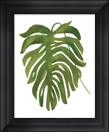 Framed Tropical Palm II Print