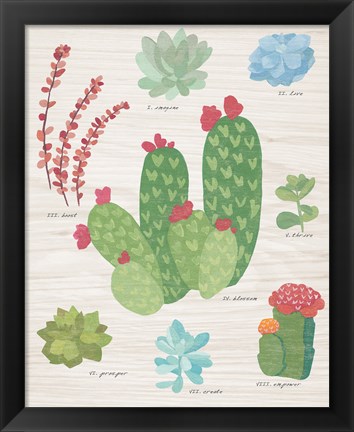 Framed Succulent Chart IV on Wood Print