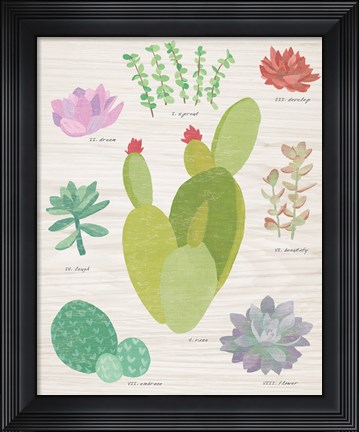 Framed Succulent Chart III on Wood Print