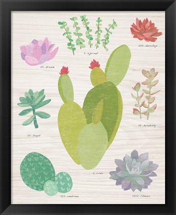 Framed Succulent Chart III on Wood Print