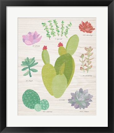 Framed Succulent Chart III on Wood Print