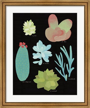 Framed Succulent Chart II Print
