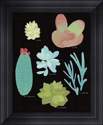 Framed Succulent Chart II Print