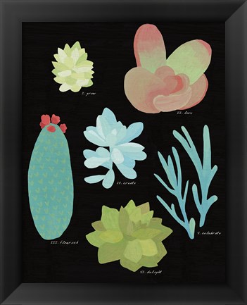 Framed Succulent Chart II Print