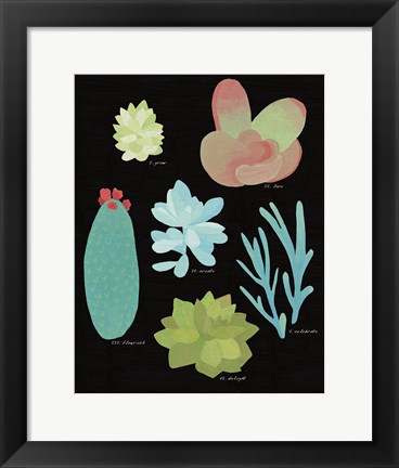 Framed Succulent Chart II Print