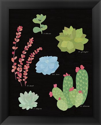 Framed Succulent Chart IV Print