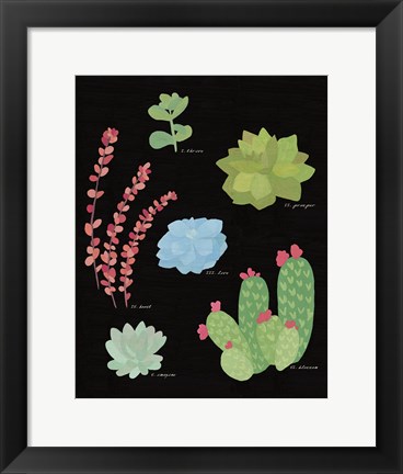 Framed Succulent Chart IV Print