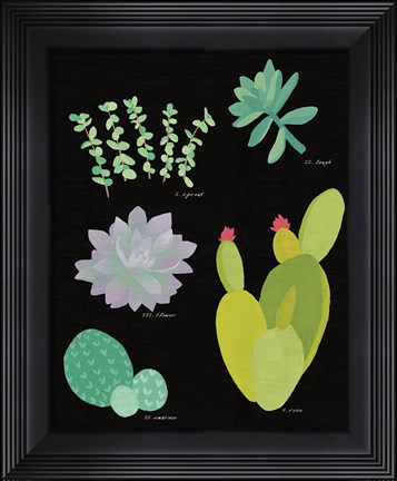 Framed Succulent Chart III Print