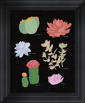 Framed Succulent Chart V Print
