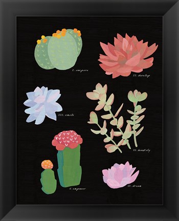 Framed Succulent Chart V Print