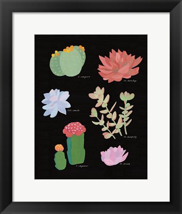 Framed Succulent Chart V Print