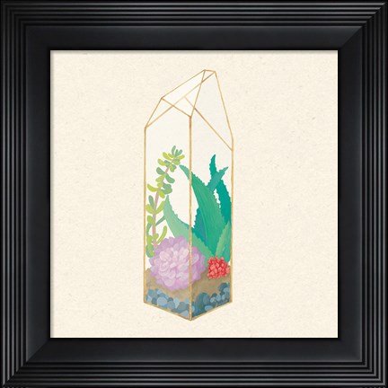 Framed Succulent Terrarium I Print
