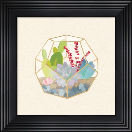 Framed Succulent Terrarium III Print