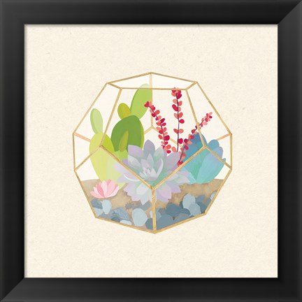 Framed Succulent Terrarium III Print