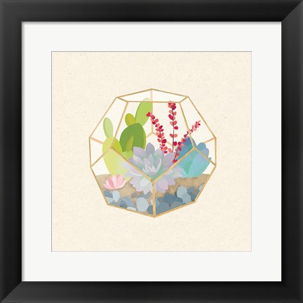 Framed Succulent Terrarium III Print