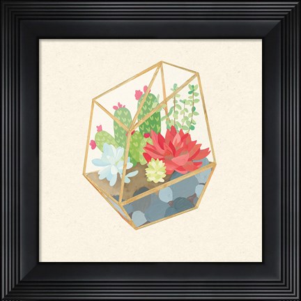 Framed Succulent Terrarium IV Print