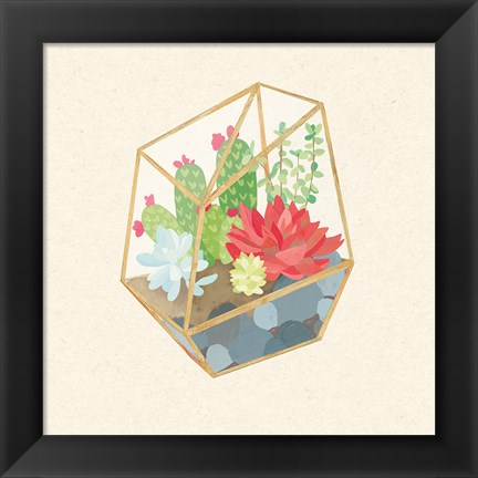 Framed Succulent Terrarium IV Print
