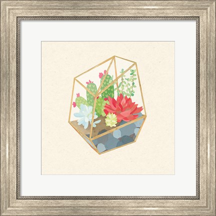 Framed Succulent Terrarium IV Print
