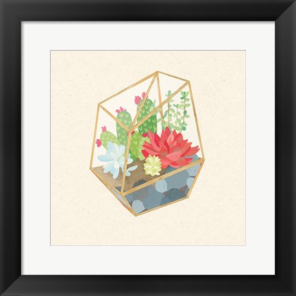 Framed Succulent Terrarium IV Print
