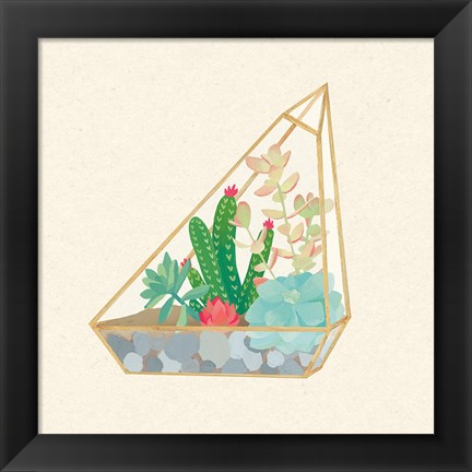 Framed Succulent Terrarium V Print