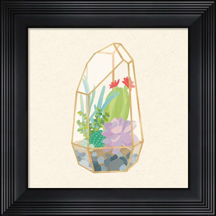 Framed Succulent Terrarium VI Print