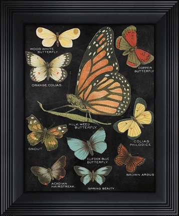 Framed Botanical Butterflies Postcard II Black Print