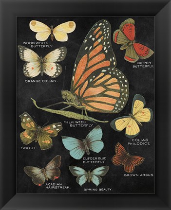 Framed Botanical Butterflies Postcard II Black Print