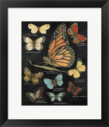Framed Botanical Butterflies Postcard II Black Print