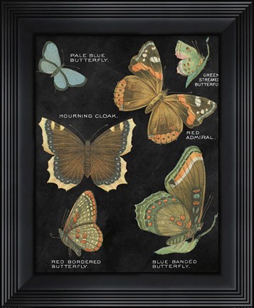 Framed Botanical Butterflies Postcard III Black Print