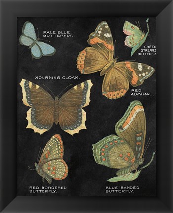 Framed Botanical Butterflies Postcard III Black Print