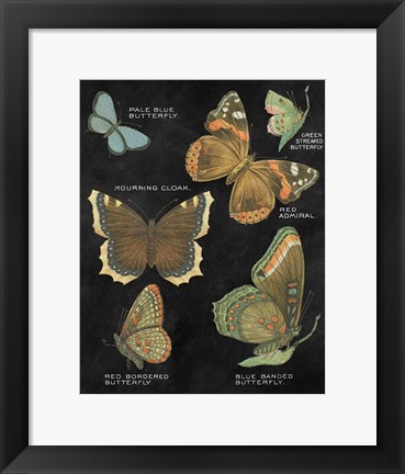 Framed Botanical Butterflies Postcard III Black Print