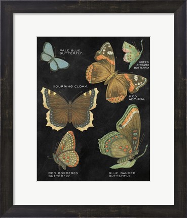 Framed Botanical Butterflies Postcard III Black Print