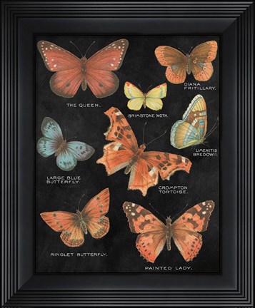 Framed Botanical Butterflies Postcard IV Black Print