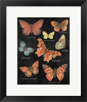 Framed Botanical Butterflies Postcard IV Black Print