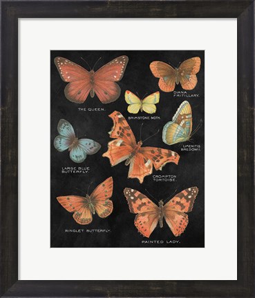 Framed Botanical Butterflies Postcard IV Black Print