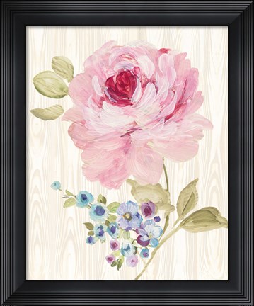 Framed Driftwood Garden VI Print